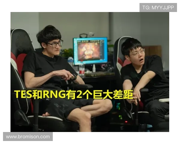 赛后复盘：RNG与TES在比赛中的战术意识与团队配合分析