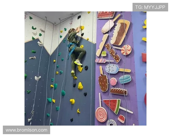 攀岩深度探索：揭秘上海攀岩队的快速攻克之道与训练秘诀