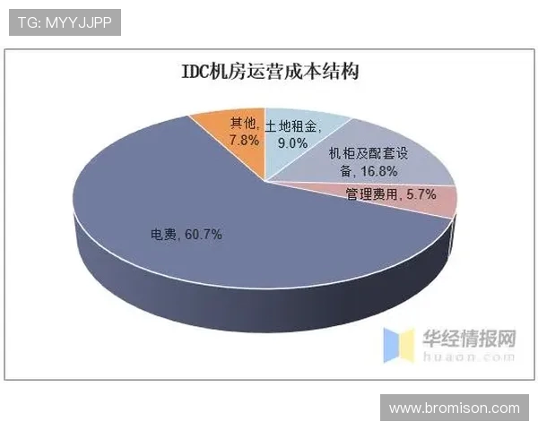 深圳乒乓球队运营模式深度解析与发展前景展望
